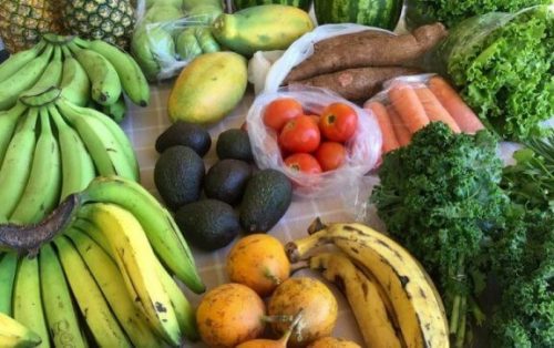 Frugt og grønt er en stor del af Rigtig mad-bevægelsen