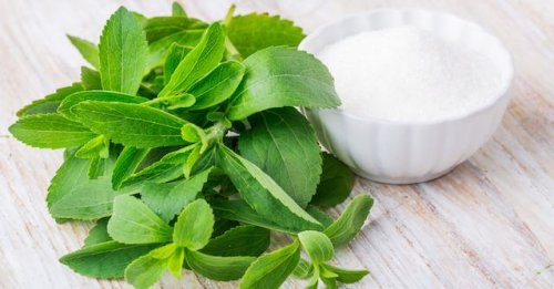 Stevia er et kunstigt sødestof der kan bruges i slankeprodukter