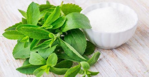 Er produkter med stevia gavnlige for helbredet?