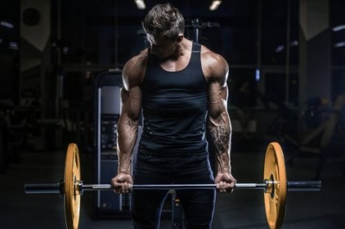 Mand træner vægtløftning i fitnesscenteret