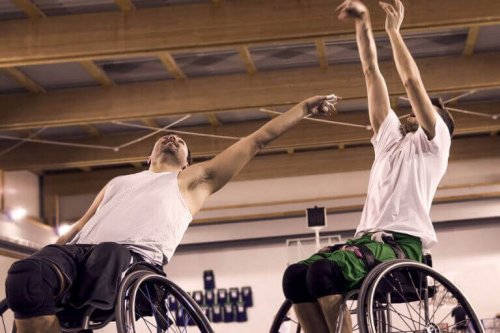 mænd der dyrker sport i kørestol
