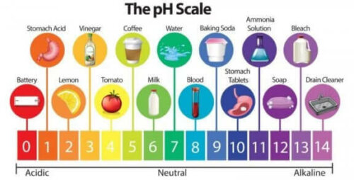 pH-skala med fødevarer