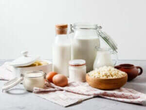 udvalg af mælkeprodukter og æg