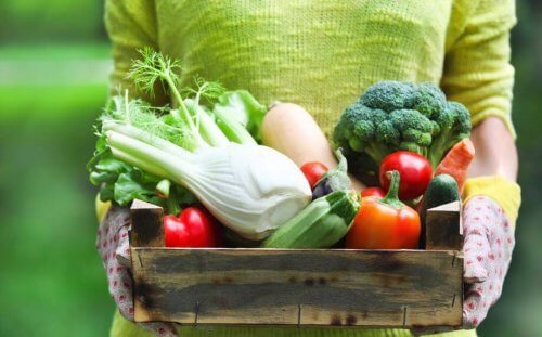 Vorteile und Arten von Gemüse