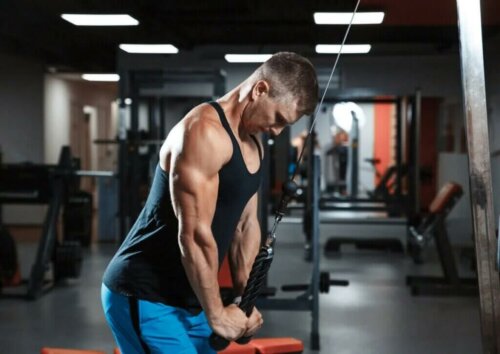 5 conseils pour renforcer vos triceps