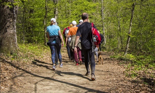 Gruppo di escursionisti camminano tra gli alberi