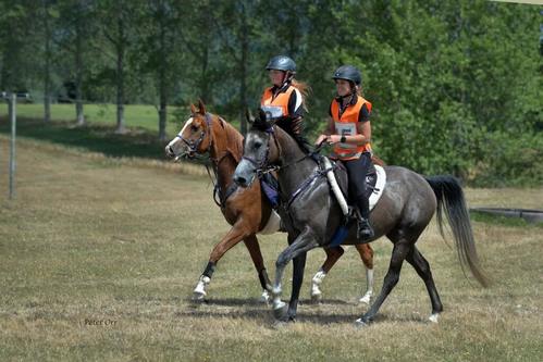 Sport equestri: due ragazze fanno enduro