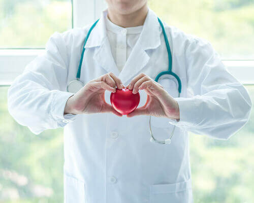 Medico che tiene un cuore di plastica in mano.