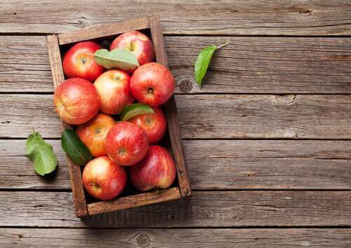 Le mele proteggono la flora intestinale.