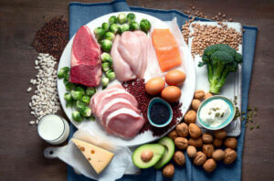 단백질 다량 섭취와 건강의 관계