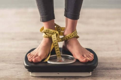 다이어트 후 증가한 체중은 왜 빼기 힘들까?