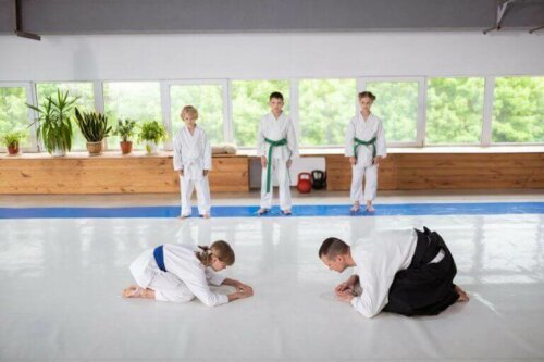 Aikido - japansk kamsport