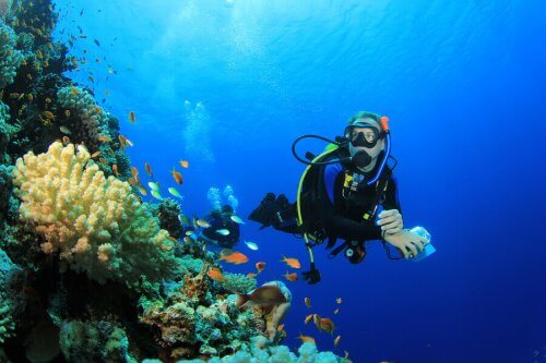 De syv beste stedene å dykke i verden