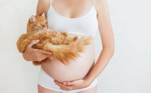 En gravid kvinne med en katt