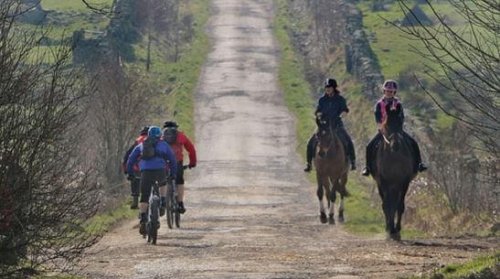 fietsers passeren paarden op onverhard pad