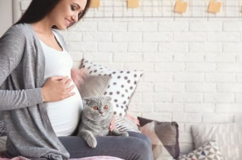Het effect van toxoplasmose tijdens de zwangerschap