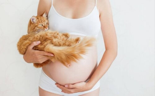 zwangere vrouw met kat