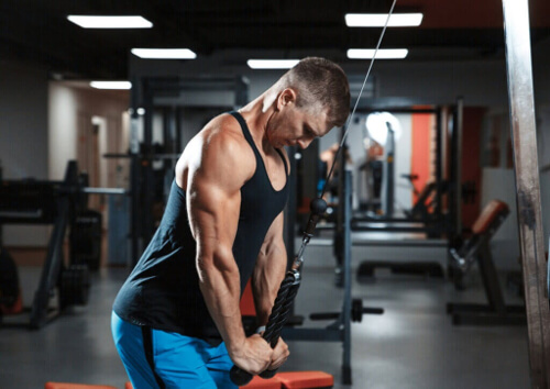Jak zwiększyć triceps – poznaj 5 wskazówek