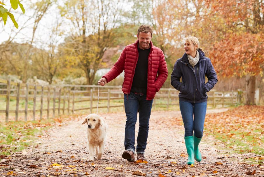 Casal caminhando no outono com seu cachorro