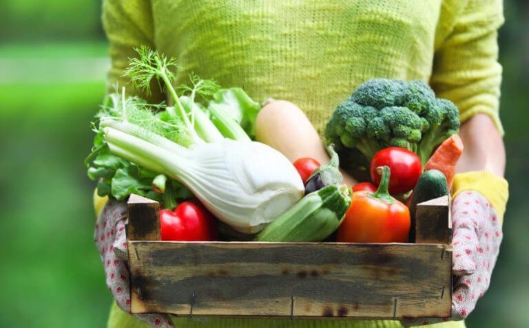 Mulher colhendo vários legumes e verduras