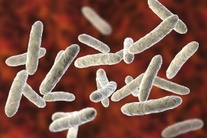 A microbiota: tudo o que você precisa saber