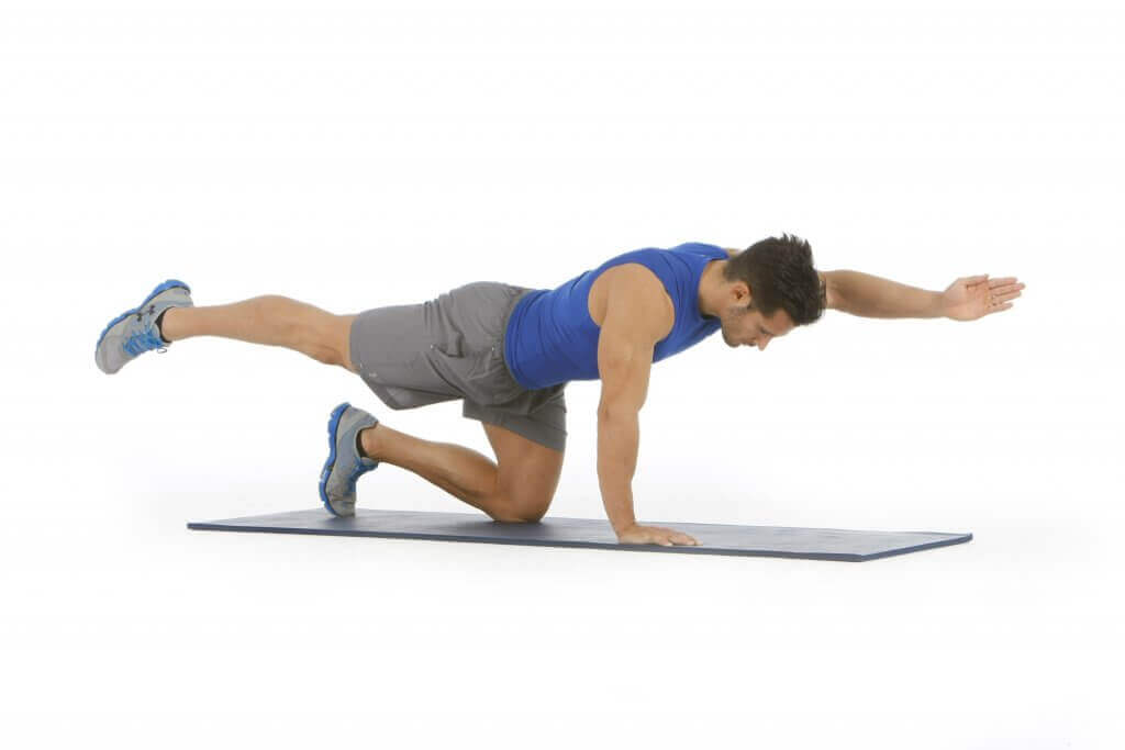 Exercícios para fortalecer os músculos eretores da coluna