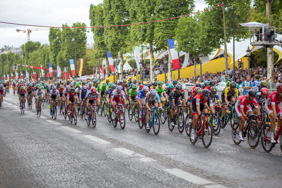 Pelotão de ciclistas que disputam o Tour de France.