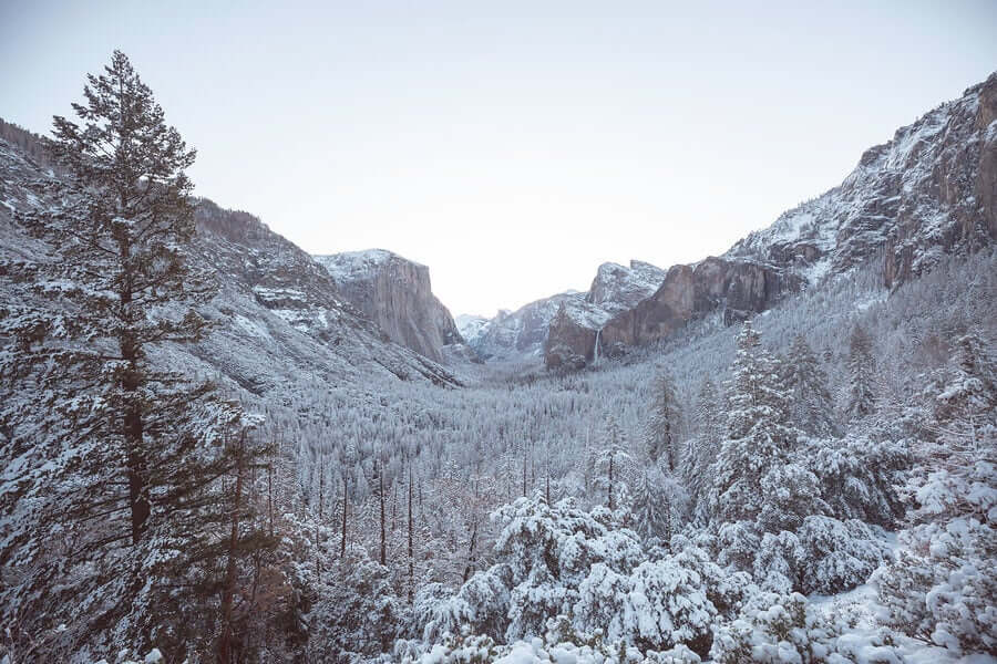 Yosemite, localizado na Califórnia, é um dos parques mais conhecidos dos Estados Unidos. Lá, até os escaladores mais experientes se intimidam com as grandes paredes verticais ao redor do vale