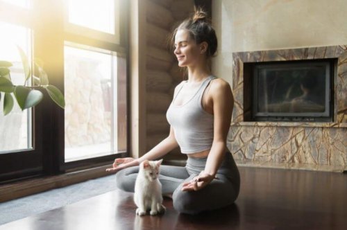 kedisiyle yoga yapan kadın