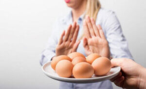 Vejetaryen yumurta alternatifleri