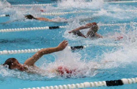 olimpik havuzda yüzücüler