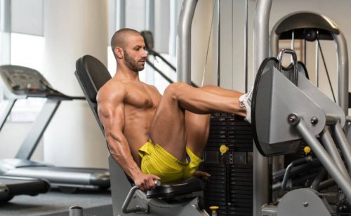 leg training cover
