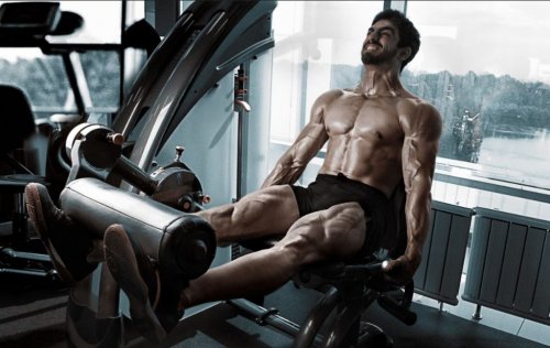 machine to work out legs quads