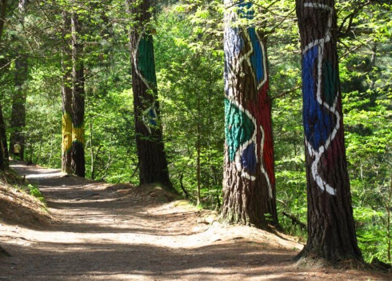 skovsti med malede træer