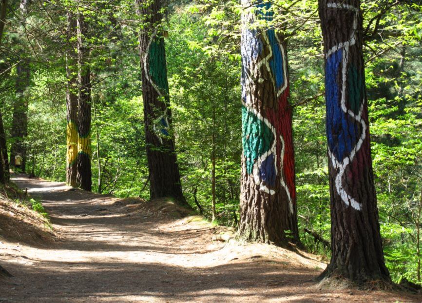 oma painted forest route