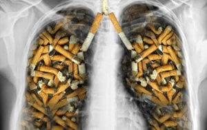 Lungs filled with cigarettes.
