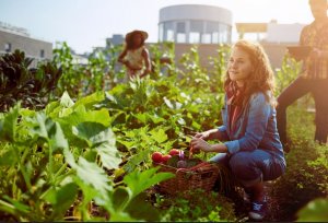 Seasonal Foods to be Healthy: Month by Month