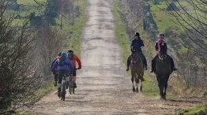 Group of people doing biking routes.