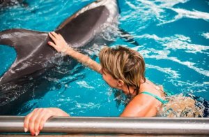 Can Adults Learn to Swim?