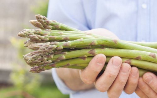 Recipes With Wild Asparagus