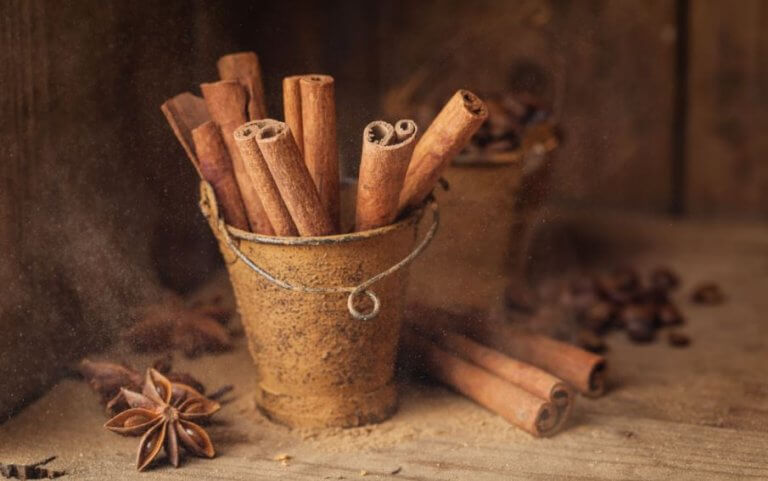The Benefits of Cinnamon for Your Body