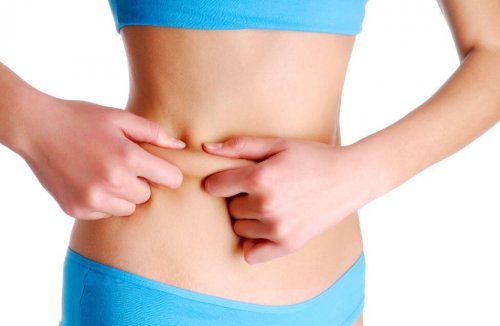 Body fat muscle mass