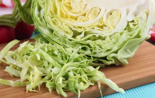 Cabbage being cut for coleslaw