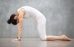 Woman doing yoga. Cat pose.