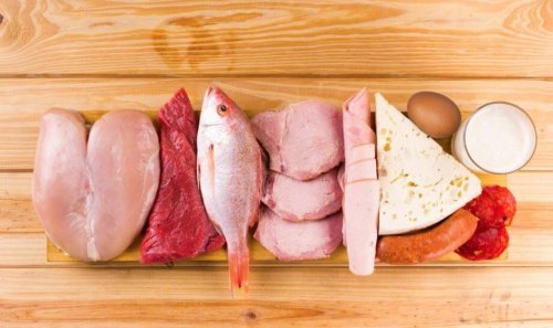 High protein foods