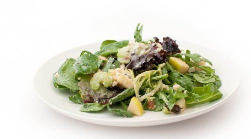Waldorf salad yogurt