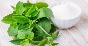 Stevia leaves as sugar substitute.