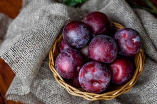 Eating greengage plums.