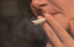 The Effects of Marijuana on the Body