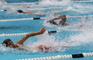 Men swimming professionally